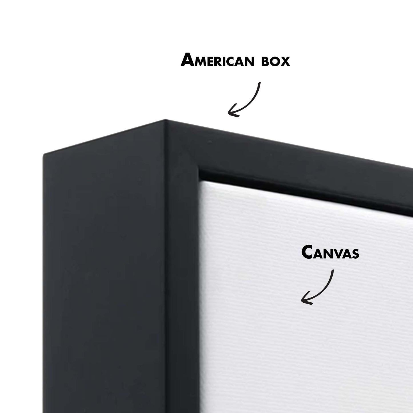 Rose & Olive collection